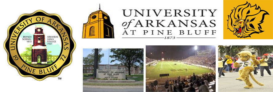 University of Arkansas at Pine Bluff school crest, entrance marker, football stadium, mascot and school logo in an image by everything doormats.