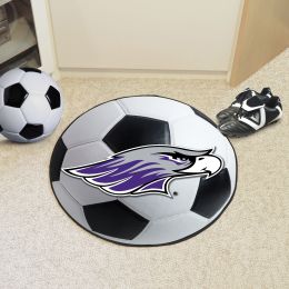 Wisconsin Whitewater Ball Shaped Area Rugs (Ball Shaped Area Rugs: Soccer Ball)