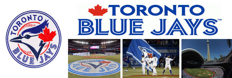 Toronto Blue Jays American League MLB baseball team pictures of stadium, logo, team and name by Everything Doormats.