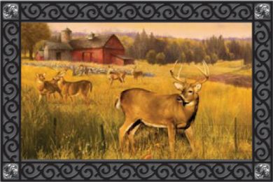 Animal Lover Deer Barn Fade & Stain Resistant Doormat