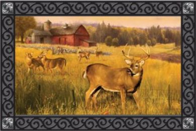 Animal Lover Deer Barn Fade & Stain Resistant Doormat