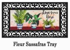 Love Grows Here Houseplants Sassafras Mat - 10x22 Insert Doormat
