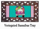 Easter Truck Bunny Bottom Sasafras Mat - 10 x 22 Insert Doormat