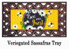 Bee Our Guest Frame Sassafras Mat - 10 x 22 Insert Doormat