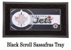 Winnipeg Jets Sassafras Mat - 10 x 22 Insert Doormat