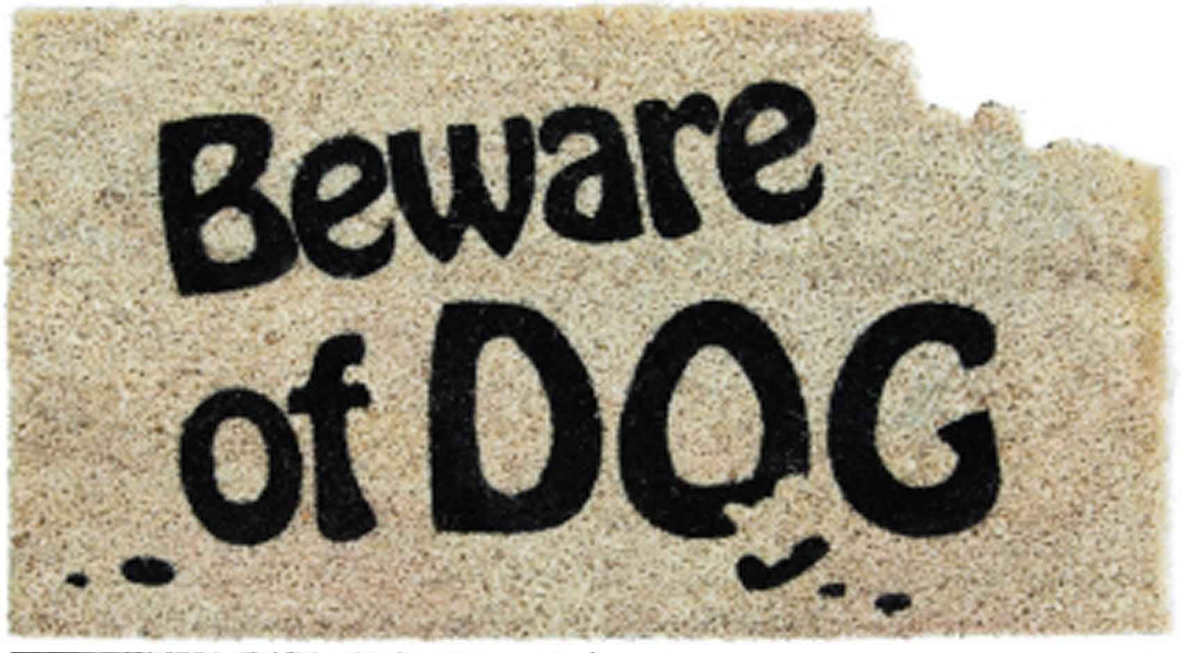 Classic Coir Beware Of Dog Doormat 16 X 28