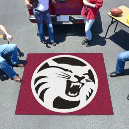 Cal State ? Chico Wildcats Tailgater Mat - 60" x 72"