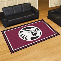 Cal State-Chico 5' x 8'  Area Rug