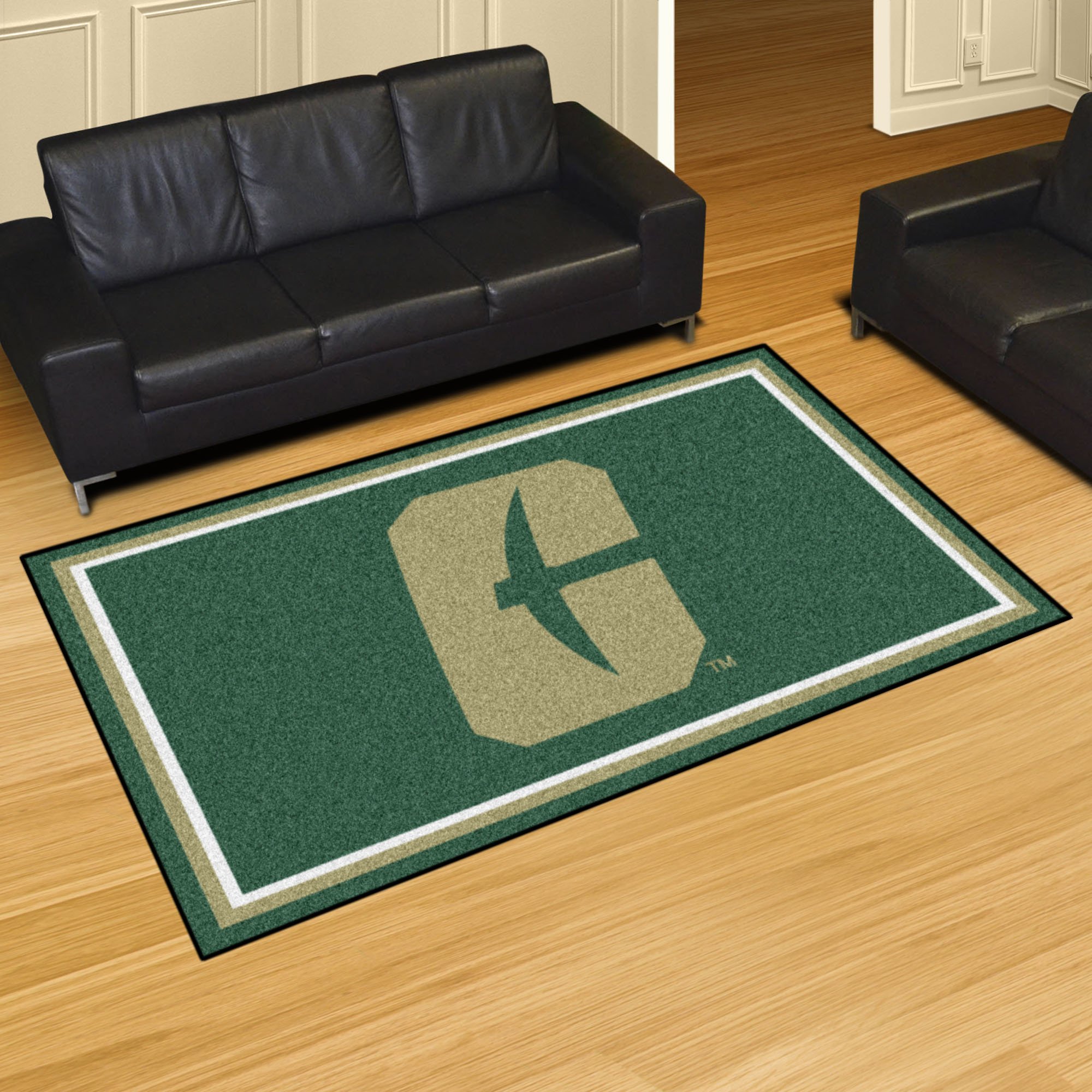 University of North Carolina at Charlotte Area Rug - Nylon 4â€™ x 6â€™