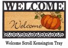 Fall Pumpkin Kensington Switch Insert Mat - 9 x 28