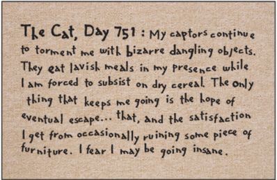 The Cat, Day 751 Doormat