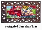 American Dogs Sassafras Mat - 10 x 22 Insert Doormat