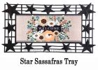 Autumn Floral Swag Burlap Sassafras Mat - 10 x 22 Insert Doormat