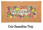 Autumn Fruits Sassafras Mat - 10 x 22 Insert Doormat