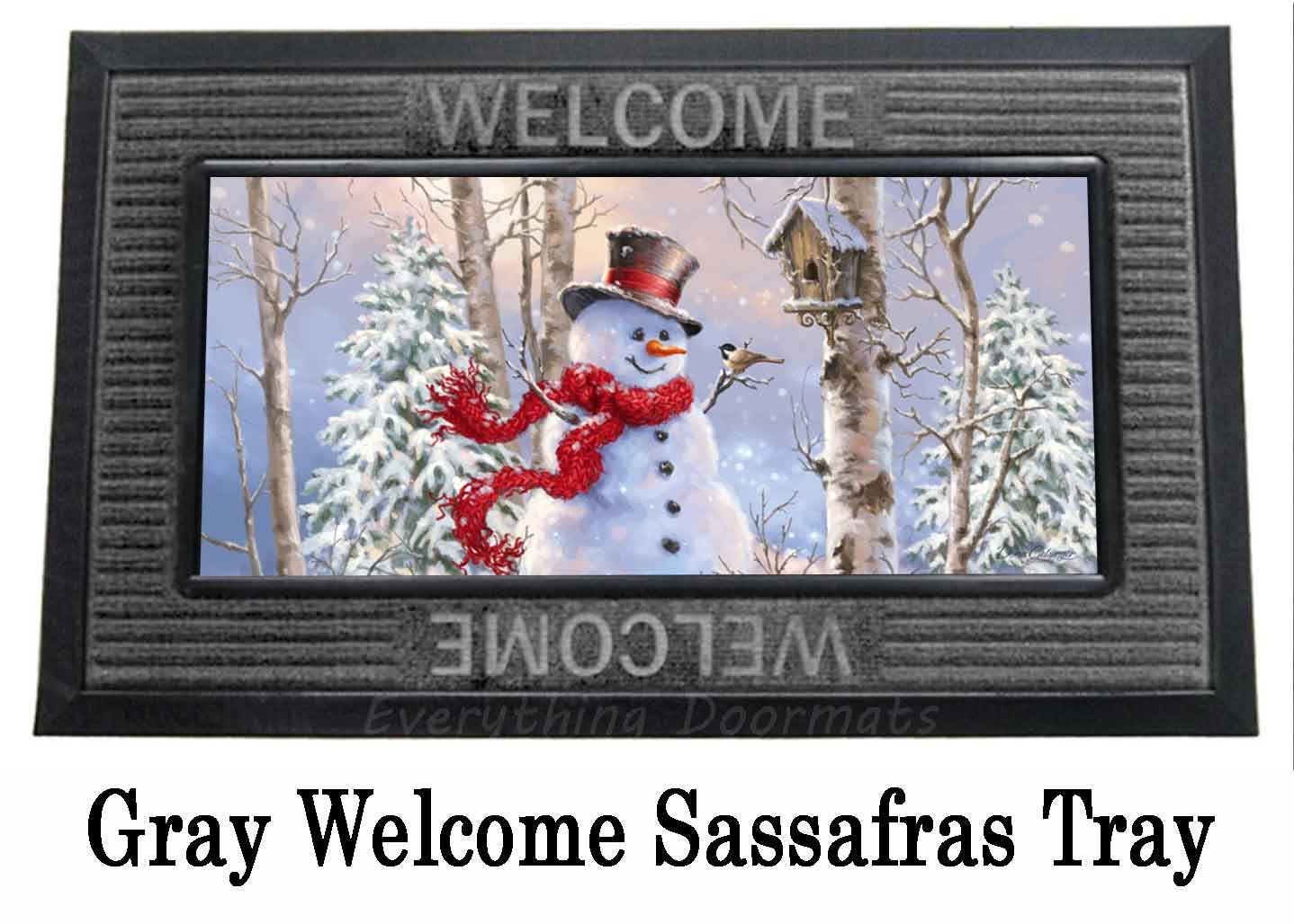 Christmas Mats for Front Door Cute Snowman Xmas Tree Truck Indoor