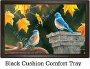 Indoor & Outdoor Bluebird Meeting MatMate Doormat-18x30