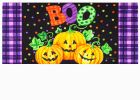 Boo Jack-O-Lantern Sassafras Mat - 10 x 22 Inset Doormat