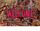 Indoor & Outdoor Camo & Pink Welcome Insert Doormat