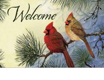 Indoor & Outdoor Cardinal Couple Insert Doormat - 18x30