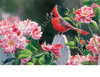 Indoor & Outdoor Cardinal with Roses MatMate Doormat-18x30