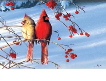Cardinals in Snow Indoor & Outdoor MatMate Insert - Doormat 18" x 30"