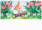 Carrot Hat Gnome Sassafras Mat - 10 x 22 Insert Doormat