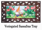 Carrot Hat Gnome Sassafras Mat - 10 x 22 Insert Doormat