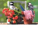 Indoor & Outdoor Chickadee Rest Stop MatMate Doormat