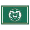 Colorado State University Rams Area Rug â€“ 5 x 8