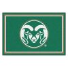 Colorado State University Rams Area Rug â€“ 5 x 8