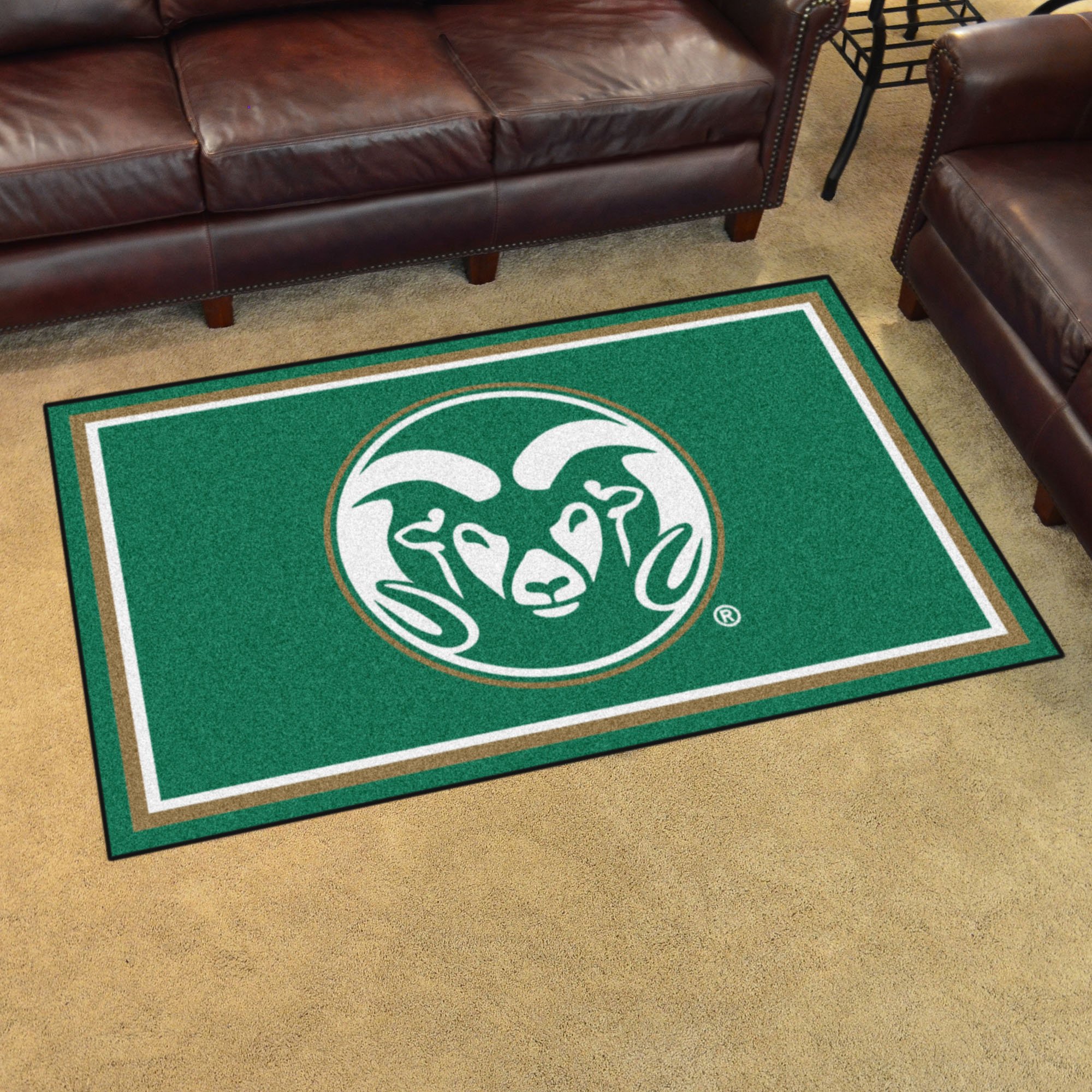 Colorado State University Area Rug - 4 x 6 Nylon