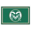 Colorado State University Area Rug - 4 x 6 Nylon