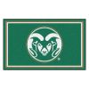 Colorado State University Area Rug - 4 x 6 Nylon