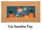 Fall Fella Scarecrow Sassafras Mat - 10 x 22 Insert Doormat