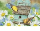 Finches and Flowers Indoor & Outdoor MatMate Insert Doormat - 18 x 30
