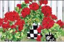 Geranium Flowers Indoor & Outdoor MatMate Insert Doormat - 18 x 30