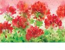 Geranium Garden Indoor & Outdoor MatMate Doormat - 18 x 30