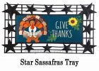 Give Thanks Turkey Sassafras Mat - 10 x 22 Insert Doormat
