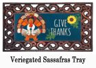 Give Thanks Turkey Sassafras Mat - 10 x 22 Insert Doormat