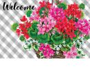 Hanging Geranium Indoor & Outdoor Insert Doormat - 18 x 30