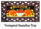 Harvest Blessing Pumpkins Sassafras Mat - 10 x 22 Insert Doormat