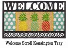 Hello Summer Pineapple Banner Kensignton Switch Insert Mat -9x28
