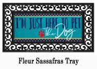 Here to Pet the Dog Sassafras Mat - 10 x 22 Insert Doormat