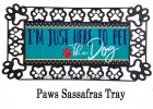 Here to Pet the Dog Sassafras Mat - 10 x 22 Insert Doormat