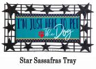 Here to Pet the Dog Sassafras Mat - 10 x 22 Insert Doormat
