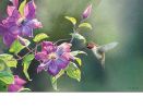 Hummingbird Visit Indoor & Outdoor MatMates Insert Doormat - 18 x 30