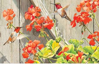 Indoor & Outdoor Hummingbirds with Geraniums MatMate