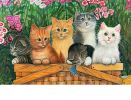 Indoor & Outdoor Kitten Basket Insert Doormat - 18 x 30