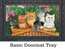 Indoor & Outdoor Kitten Basket Insert Doormat - 18 x 30