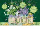 Lucky Shamrocks Indoor & Outdoor MatMate Doormat - 18 x 30